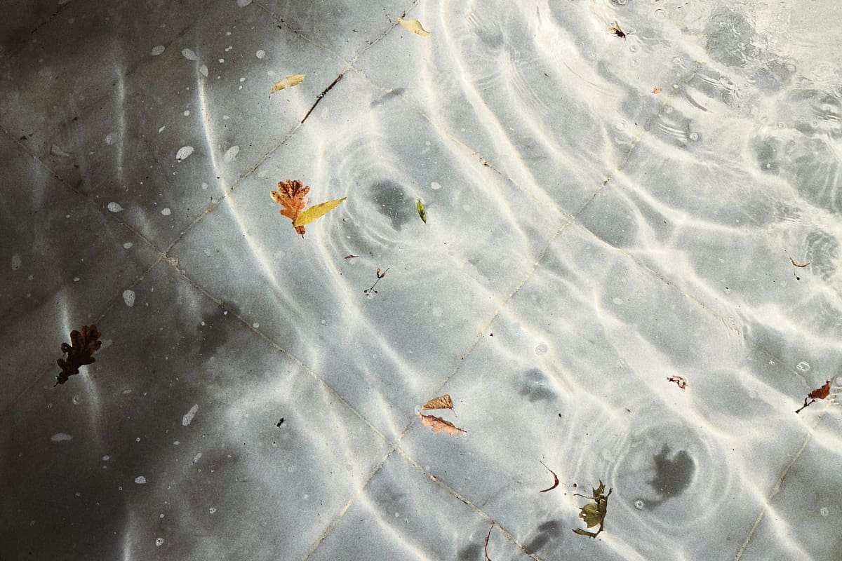 Pool with fallen dry leaves floating in the water