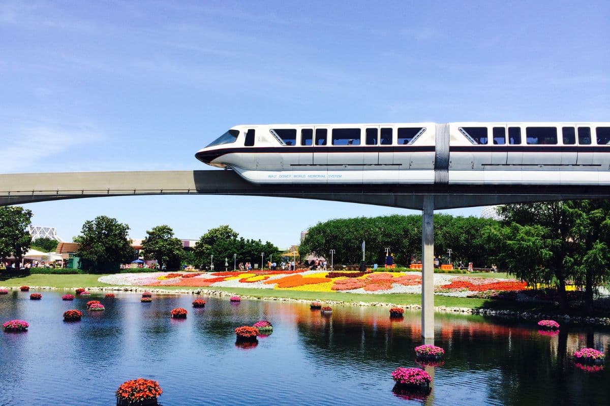 Disney's monorail system passing over a body of water with floating flowers