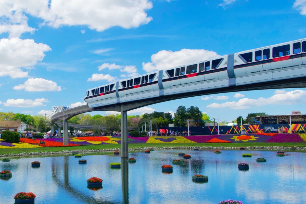 The Disney World Monorail passing over a body of water with floating flowers