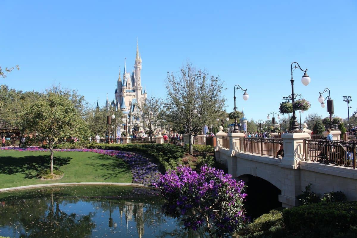 Pond surrounded by trees and purple flowers with the Disney World castle in the background