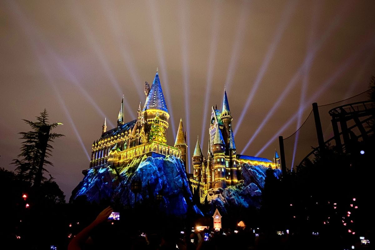 People standing in the dark looking at a Hogwarts light show