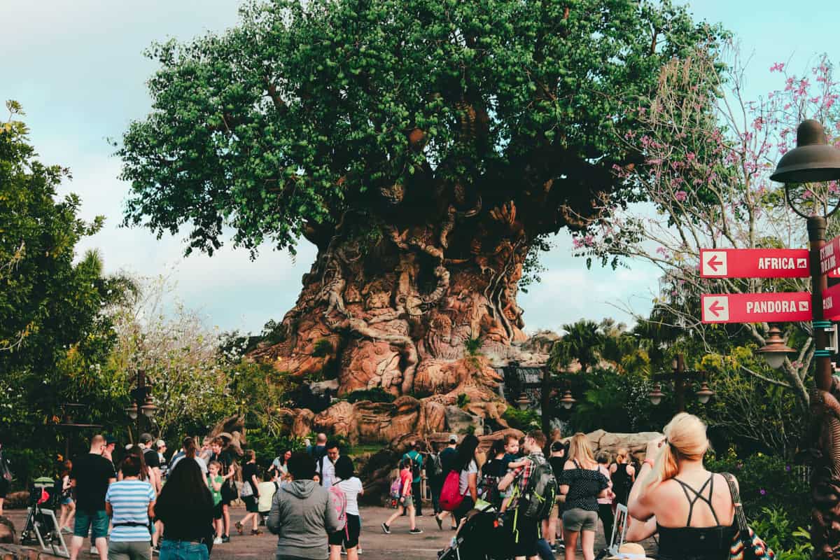 People walking around the Tree of Life at Disney's Animal Kingdom