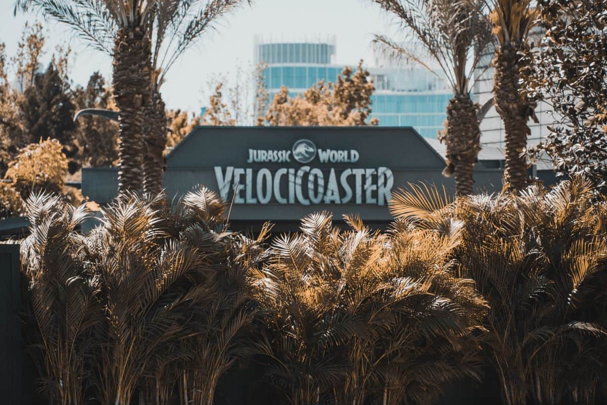 Palm trees in front of the Jurassic World VelociCoaster