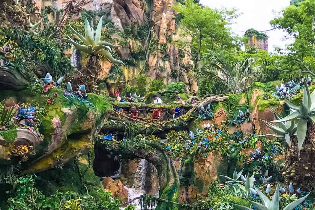 People hiking through a trail in the World of Avatar at Disney's Animal Kingdom
