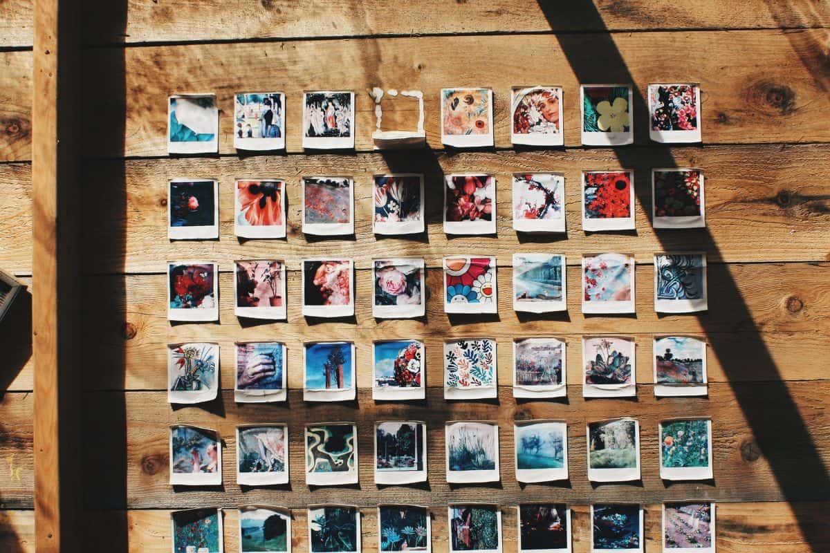 Assorted photographs arranged in a grid and posted on a wall