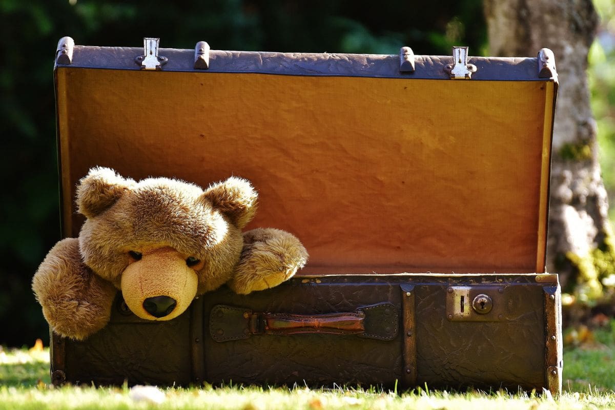 Teddy bear stuffed toy inside an open suitcase