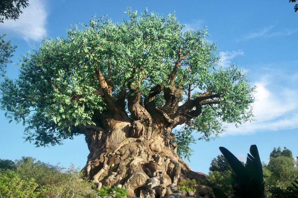 Photo of Tree of Life in Animal Kingdom.