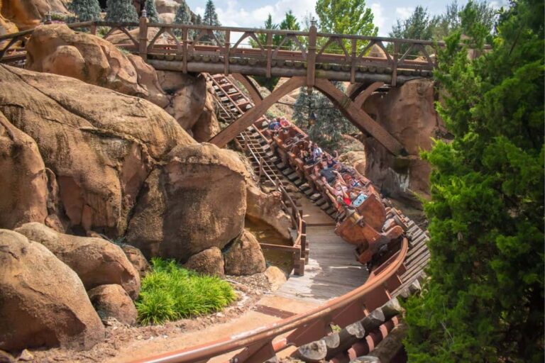 Which Disney World Park Has The Most Rides?