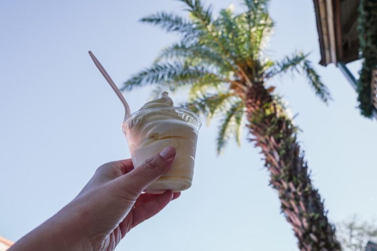 Where To Get Dole Whip At Disney World?